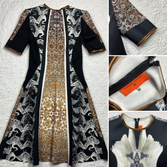 Swan Dress - Picture 3 of 9